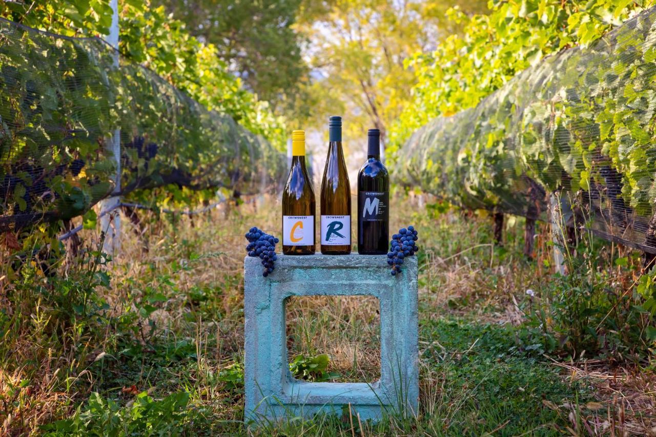 Crowsnest Vineyards Guesthouse Cawston Bagian luar foto