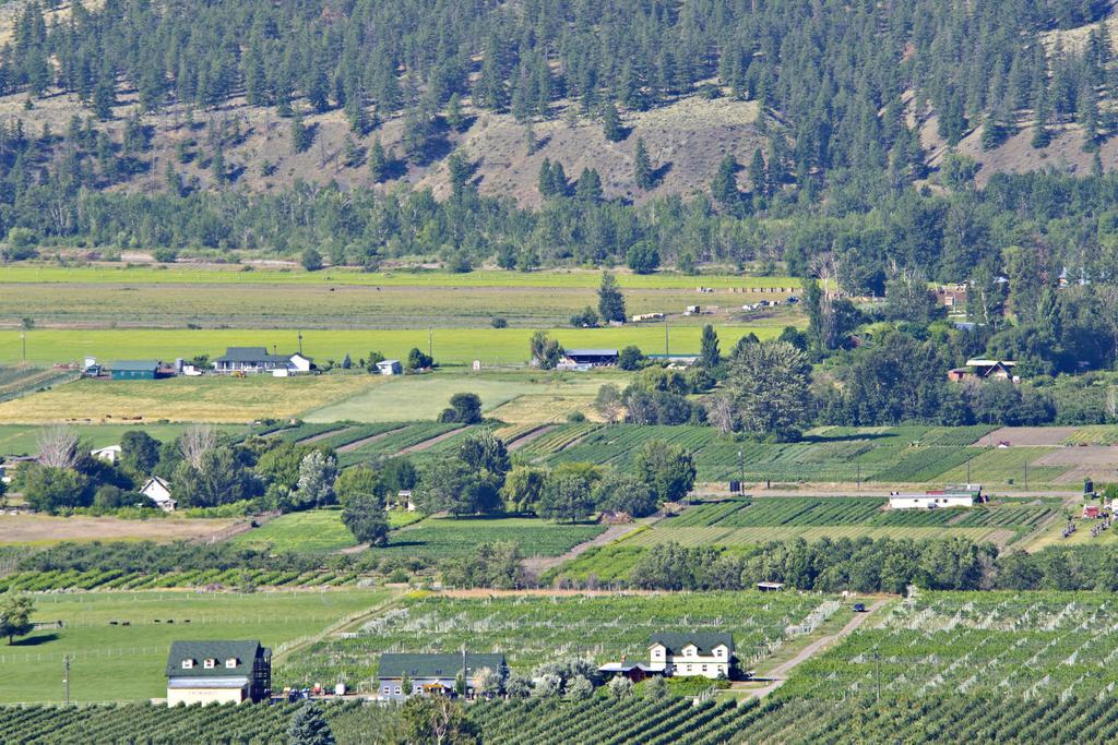 Crowsnest Vineyards Guesthouse Cawston Bagian luar foto