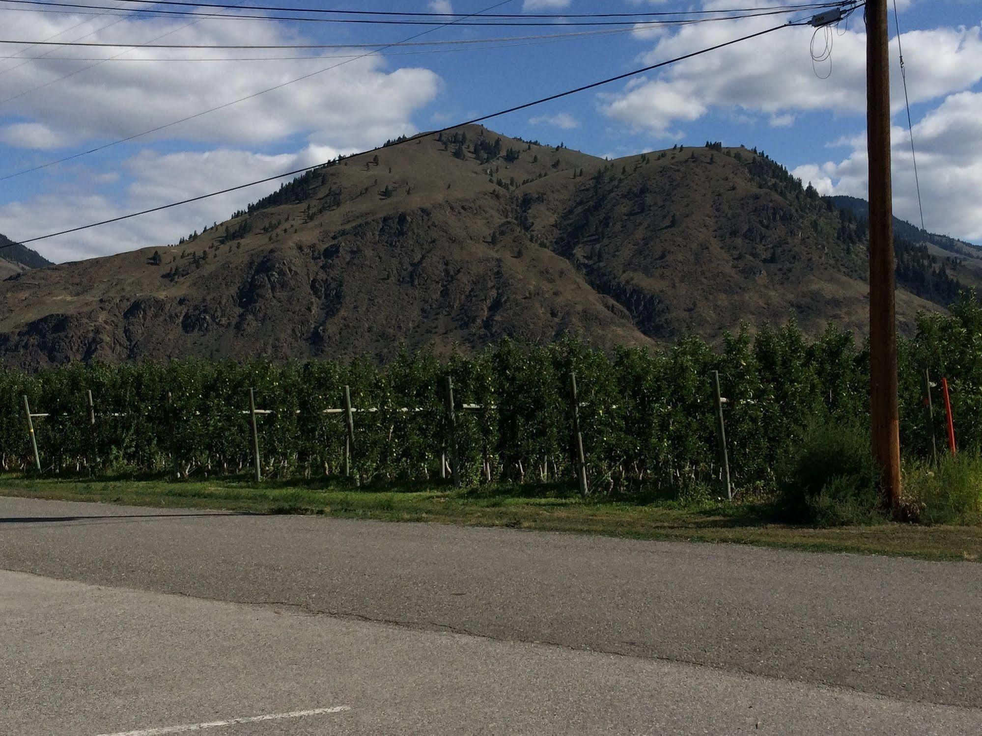 Crowsnest Vineyards Guesthouse Cawston Bagian luar foto