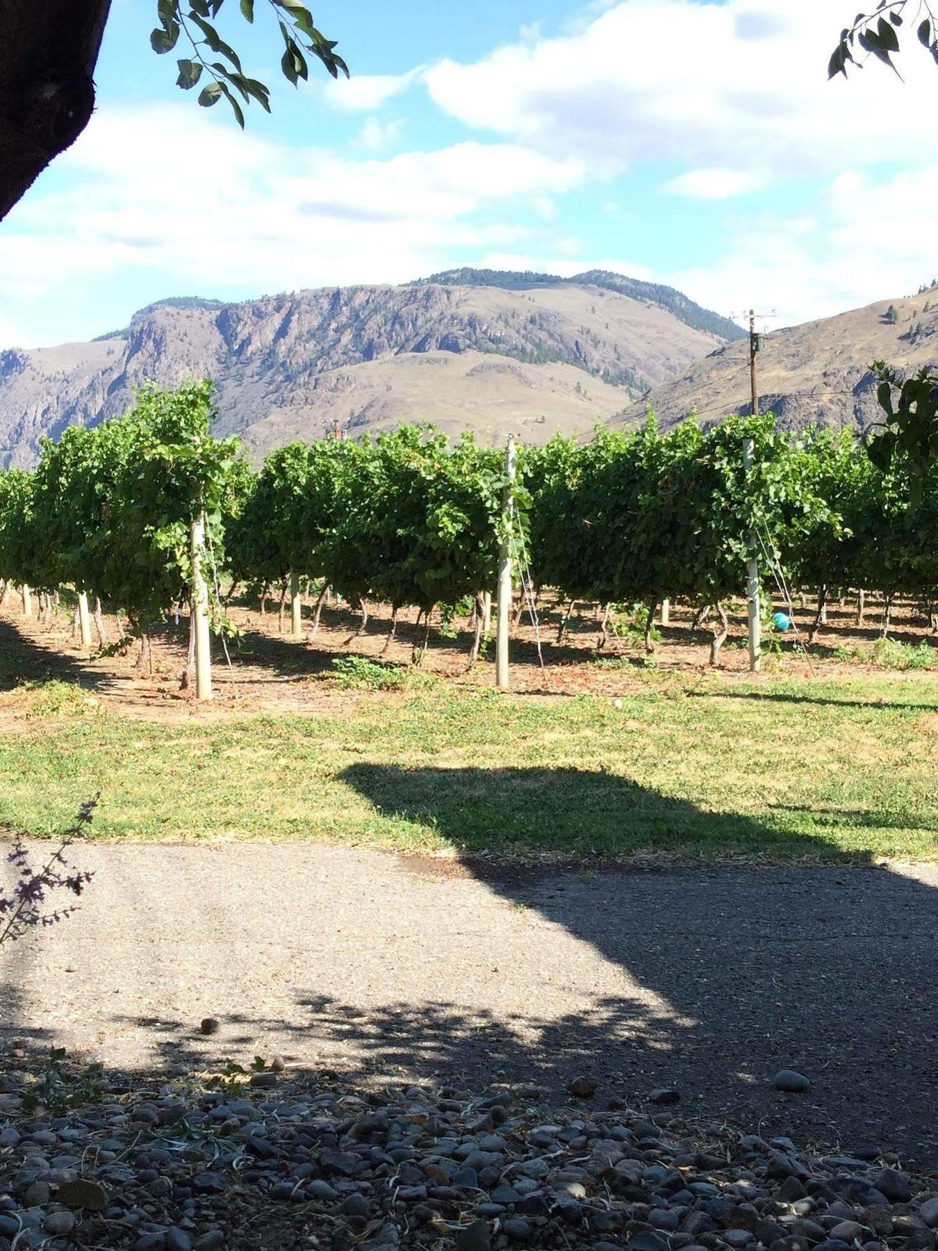 Crowsnest Vineyards Guesthouse Cawston Bagian luar foto